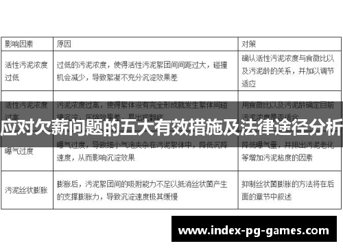 应对欠薪问题的五大有效措施及法律途径分析