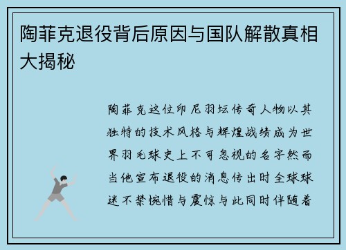 陶菲克退役背后原因与国队解散真相大揭秘