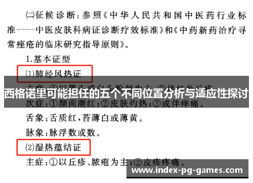 西格诺里可能担任的五个不同位置分析与适应性探讨